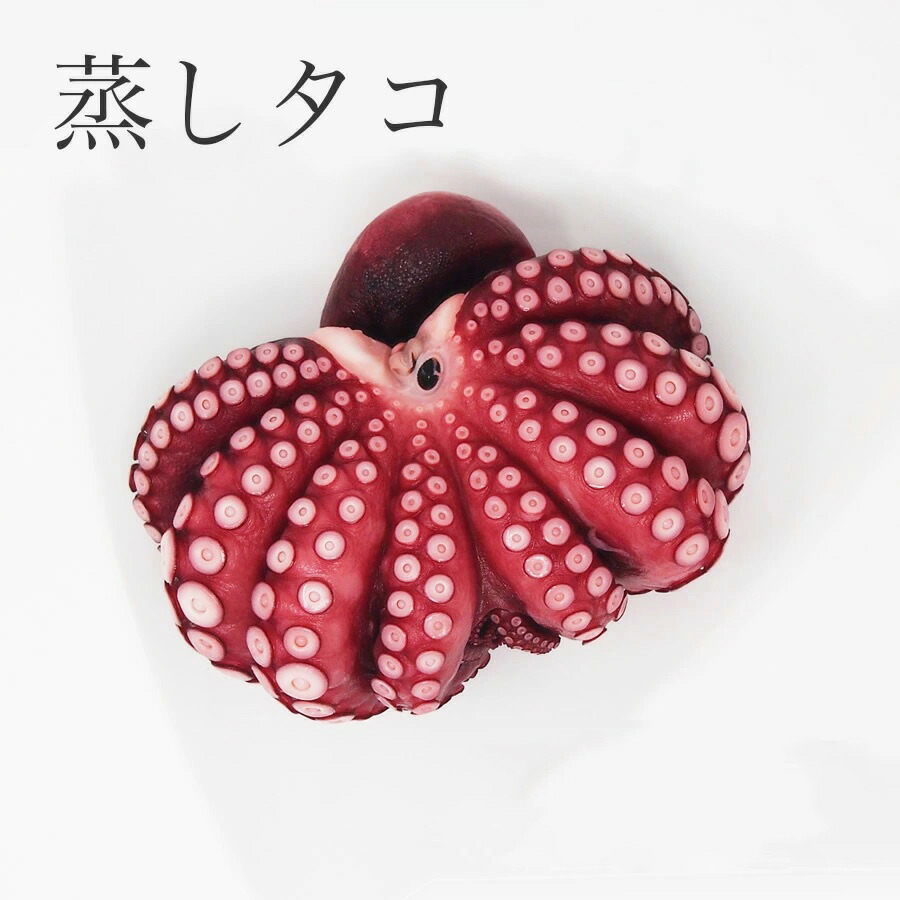 ＼お買い物マラソン／【蒸しタコ】【約0.8kg～1kg（1匹分）】タコ 蒸し ダコ タコ 贈り物 ギフト　国内加工 【RCP】冷凍便　モロッコ産 父の日
