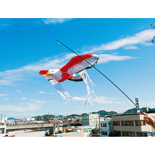 【中古】 トキよ舞いあがれ 国際保護鳥・トキを絶滅から守る人たち/くもん出版/国松俊英 トキよ舞いあがれ: 国際保護鳥・トキを絶滅から守る人たち