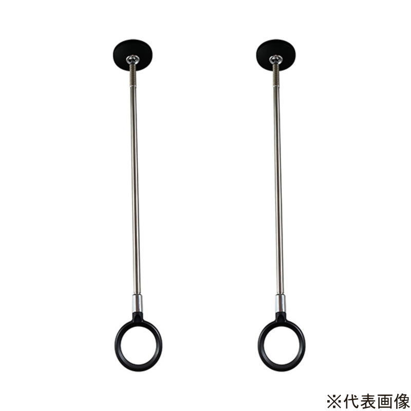 三角江技研 室内用ホスクリーン 斑点模様型 SPCL-BK 黒いこと 【2本】 薄型 今めかしい L大きさ