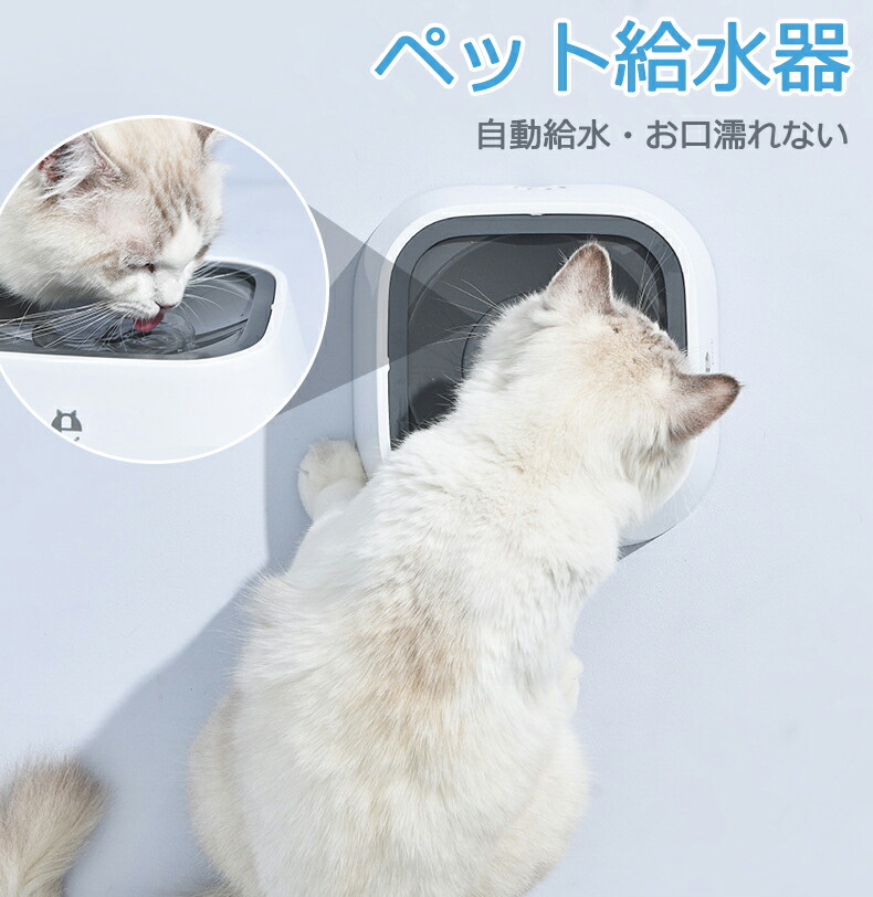 超人気の ペット自動給水器 給餌器 給餌 猫 電気不要 犬 食事台 給水器 1台2役 1.4L 自動給水器 ボール型 おしゃれ 給食 かわいい 給水  スタンド ペット用 食べやすい qdtek.vn