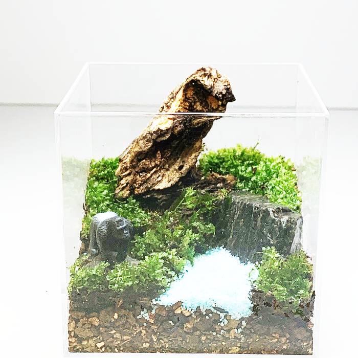 楽天市場 苔テラリウム キット 渓流 ゴリラフィギュア付 ホワイトデー ジオラマ リアルな自然 癒し 日本の風景 新生活 大人の趣味 苔リウム コケリウム コケテラリウム コケ インテリア グリーン植物 作成キット 制作キット プレゼント 誕生日 ステイホーム 癒しの森