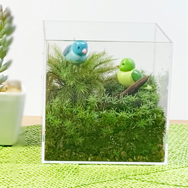 楽天市場 可愛い 贈り物 コケテラリウムキット うさぎ ガラスボウル コケインテリア 母の日ギフト コケテラリウム手作りキット 創作キット 苔インテリア 苔リウム コケリウム 作成キット お誕生日 おうち時間 ステイホーム 癒しの森 楽天市場店