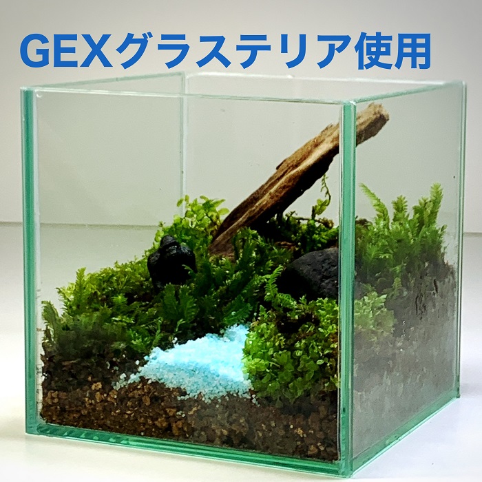 楽天市場 ガラスインテリア 渓流 苔テラリウム 制作キット 苔リウム 製作キット コケ テラリウム コケリウム 初心者 作成 親子 制作 プレゼント お誕生日 流木 石 ゴリラフィギュア おうち時間 プレゼント ギフト ステイホーム 巣ごもり時間 癒しの森 楽天市場店