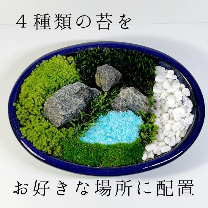 楽天市場 日本庭園大 苔テラリウム作成キット 苔盆栽 苔日本庭園 プレゼント用 苔日本庭園 苔 コケ こけ 父の日 男性 母の日 新築祝い 誕生日プレゼント 癒し おうち時間 大人の遊び 開店祝い 敬老の日 癒しの森 楽天市場店