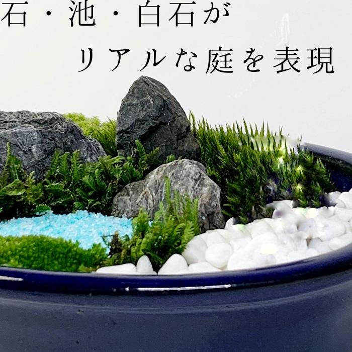 楽天市場 日本庭園大 苔テラリウム作成キット 苔盆栽 苔日本庭園 プレゼント用 苔日本庭園 苔 コケ こけ 父の日 男性 母の日 新築祝い 誕生日プレゼント 癒し おうち時間 大人の遊び 開店祝い 敬老の日 癒しの森 楽天市場店