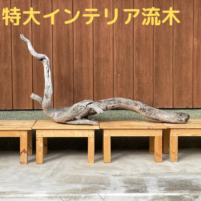 楽天市場 流木 特大 インテリア流木４ クリスマス 玄関飾り イベント 高級 花器 一点物 プレゼント 新築祝い 開店祝い 新店祝い 正月飾り 卒業式 入学式 モデルルーム 癒しの森 楽天市場店