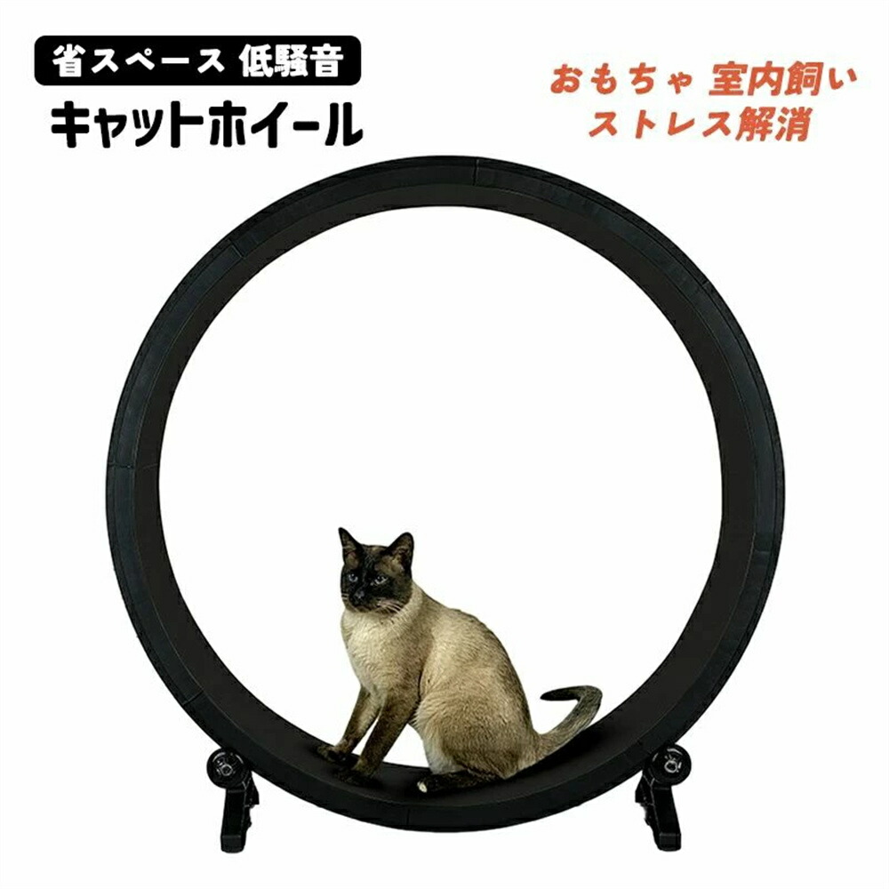 キャットホイール 回し車 省スペース 低騒音 キャットタワー 猫ホイール ランニングマシーン 猫 運動不足解消 ダイエット ストレス解消 ストレス発散 運動不足予防 ルームランナー ランニングマシーン おもちゃ 室内飼い 18,318円