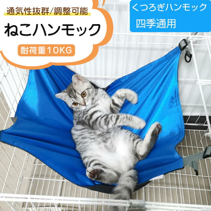 売れ筋 最短翌日お届け  【M0YXO05Z3ZN】 限定デザイン