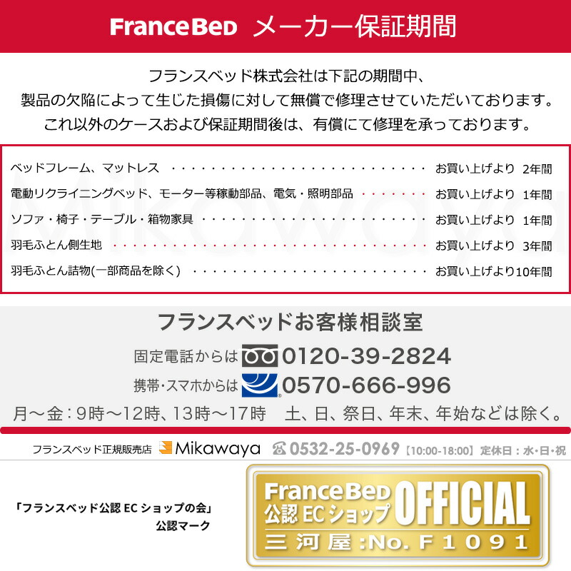 【正規店】フランスベッド電動ベッドグランマックスGX-01F2モーターレッグタイプワイヤードリモコンRX-LXマットレス付シングルサイズFC1854