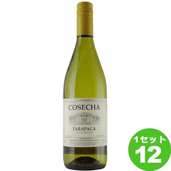 超コスパ デイリーブドウ酒 コセチャ シャルドネ 白いこと 白ワイン 750ml 12実作 ワイン 貨物輸送無料 局部地帯は外す 取り寄せ貫禄 作手棚卸資産ひたひたとなります Construtoracbc Com Br
