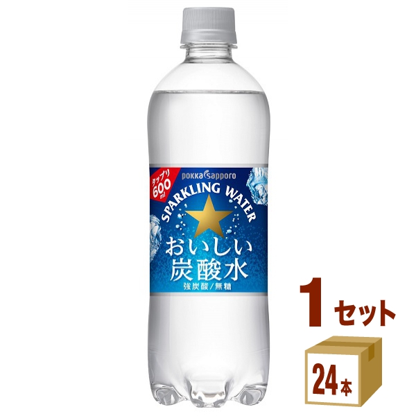 炭酸水 送料無料 1L×2ケース 24本 1000ml RSL あすつく2,697円 サンガリア 伊賀の天然水 全国一律送料無料 強炭酸水  国内外の人気が集結 サンガリア