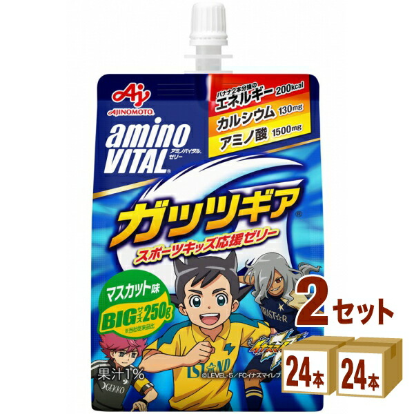 味の素 アミノバイタル ゼリー ドリンク ガッツギア マスカット味 250ml×24本×2ケース (48本) 飲料【送料無料※一部地域は除く】