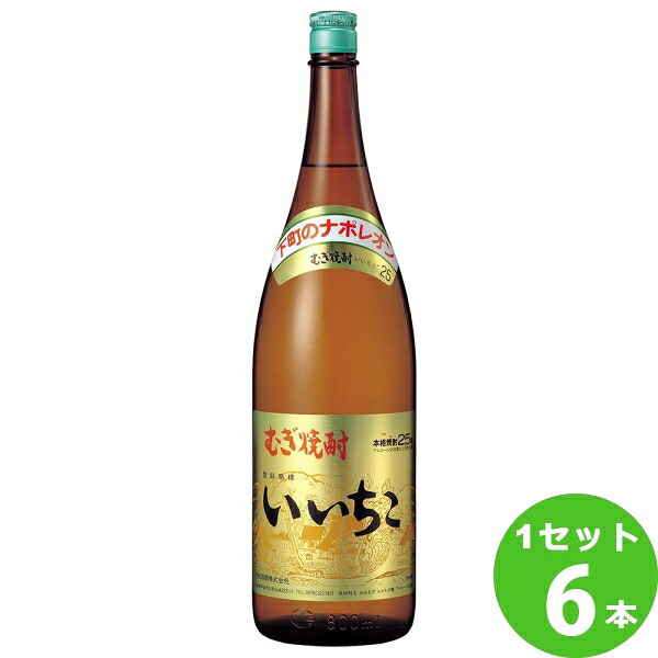 三和酒類（大分） 麦焼酎　いいちこ ２５°　瓶 大分県1800ml×6本 焼酎【送料無料※一部地域は除く】