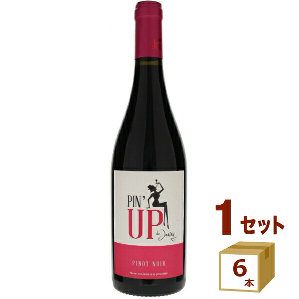【要エントリー全品P10倍＆200円クーポン】マス・ド・ジャニーニ ピナップ ド ジャニーニ 赤ワイン フランス ミディアムボディ 瓶 ピノノワール 750ml×6本【送料無料※一部地域は除く】