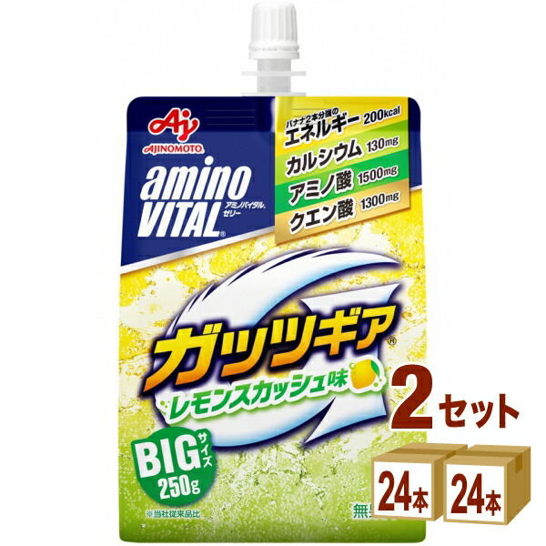 【要エントリー全品P10倍＆200円クーポン】2026年1月23日発売 味の素 アミノバイタルゼリードリンク ガッツギア レモンスカシュ 250g×24本×2ケース (48本)【送料無料※一部地域は除く】