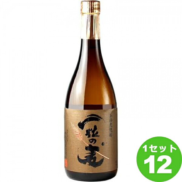 西酒造（鹿児島) 麦焼酎 一粒の麦 25度 720ml &times;12本 焼酎【送料無料※一部地域は除く】｜イエノミストbyイズミックワールド