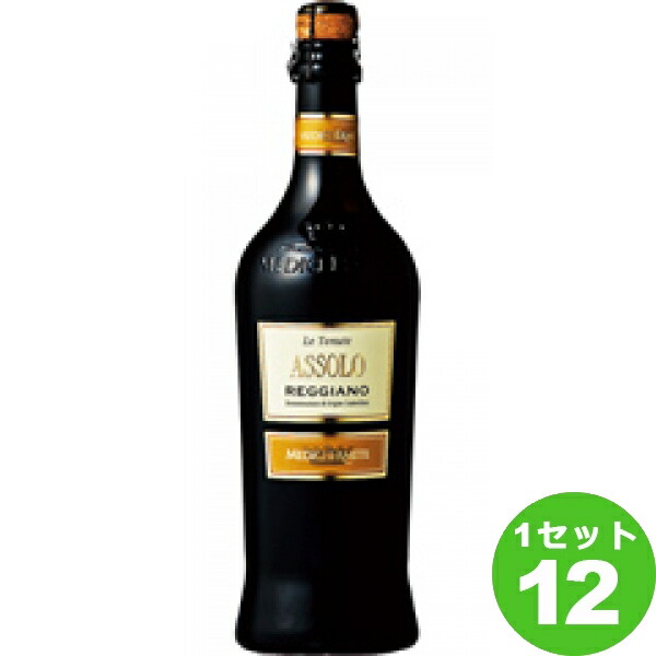 アッソーロ レッジアーノ フリッツァンテ ロッソ セッコ 750ml ×12本 イタリア/エミリア ロマーニャ/レッジアーノ/ ワイン【送料無料※一部地域は除く】 Assolo Reggiano Vino Frizzante Rosso Secco|イエノミストbyイズミックワールド