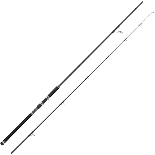 AbuGarcia (アブガルシア) ソルティーステージプロトタイプ ショアジギング SaltyStageProtoType ShoreJig
