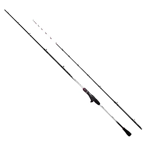 シマノ(SHIMANO) 船竿 太刀魚 軍刀御師匠さんTT 82 HH170
