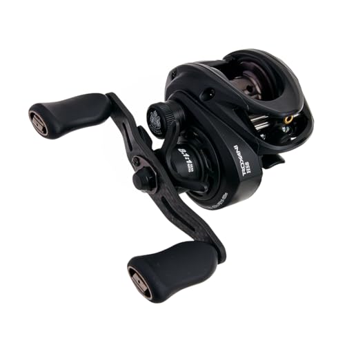 AbuGarcia (アブガルシア) Roxani BC HS8 ロキサーニ 24年青写真 右一巻き