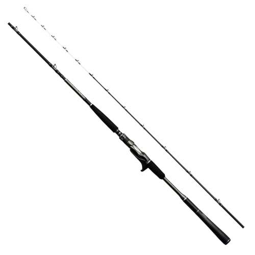 シマノ(SHIMANO) 船竿 25ミッドゲーム XR 73HH210/RIGHT