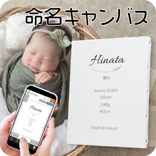 Hikaru　お一人目修正あり「私が欲しい命名書」キャンバス送料無料 Hikaru様専用 お一人目修正あり「私が欲しい命名書」キャンバス