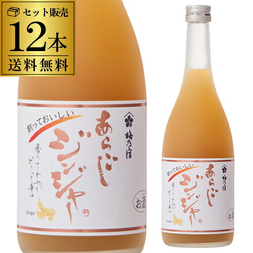 【4/10限定 全品P3倍】 【送料無料】【ケース販売】梅乃宿 あらごしジンジャー 720ml×12本 15度 リキュール ジンジャー あらごし 長S
