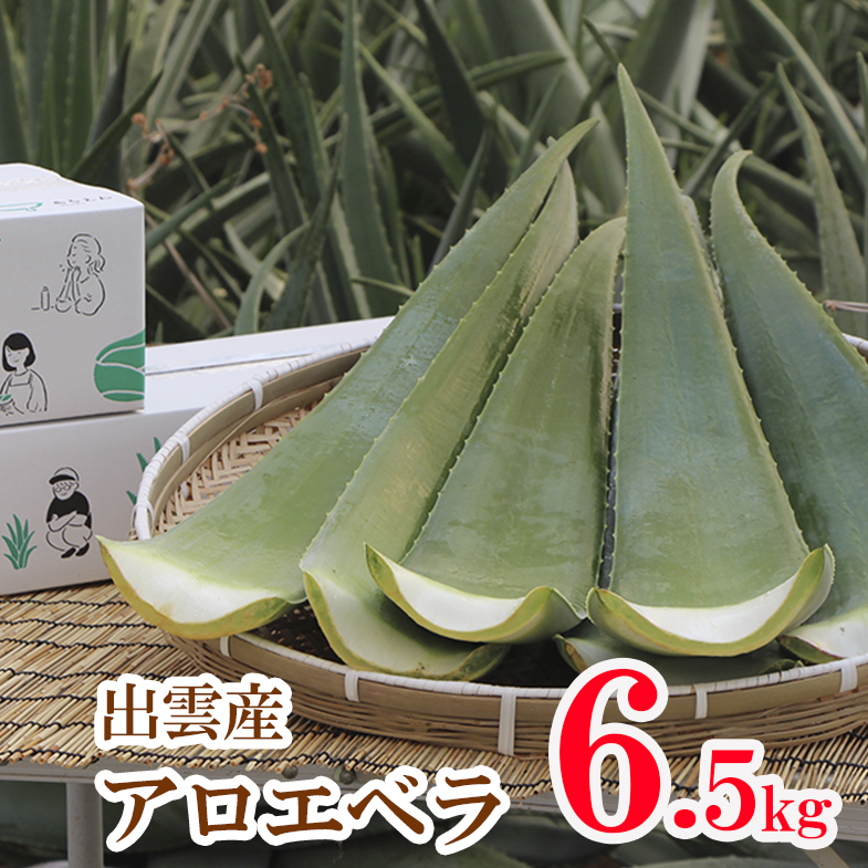 植田農園 無農薬 熊本県産 食用 アロエベラ 生葉 5kg(約10枚)