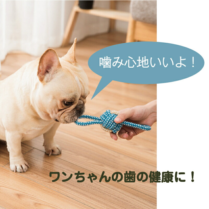 送料無料 コットンロープ 犬 犬用おもちゃ 小型犬 歯磨き 玩具 綿