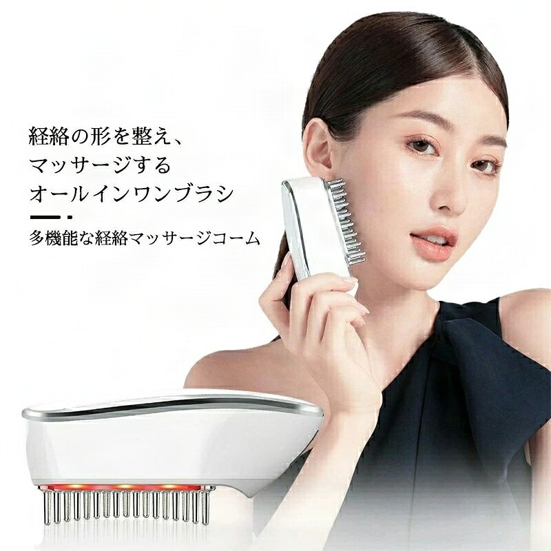 毛はらい LED 電動 髪の毛毛はらい くし パドル毛はらい ブラジャーさる股引き 毛はらい仕かける 毛はらい鉄 多役立つこと 頭皮毛はらい 灯し火毛はらい 美顔器 雨合羽 ems 頭筋 櫛 頭皮世話をする デフォルト