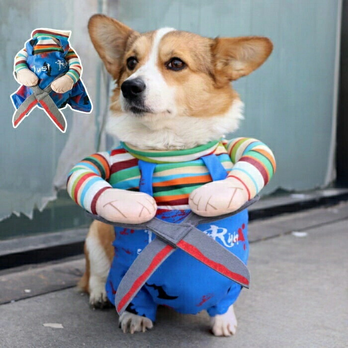 ジェラピケ　ベビモコハウス ジェラートピケ CAT&DOG 販路限定商品 ベビモコハウス gelato