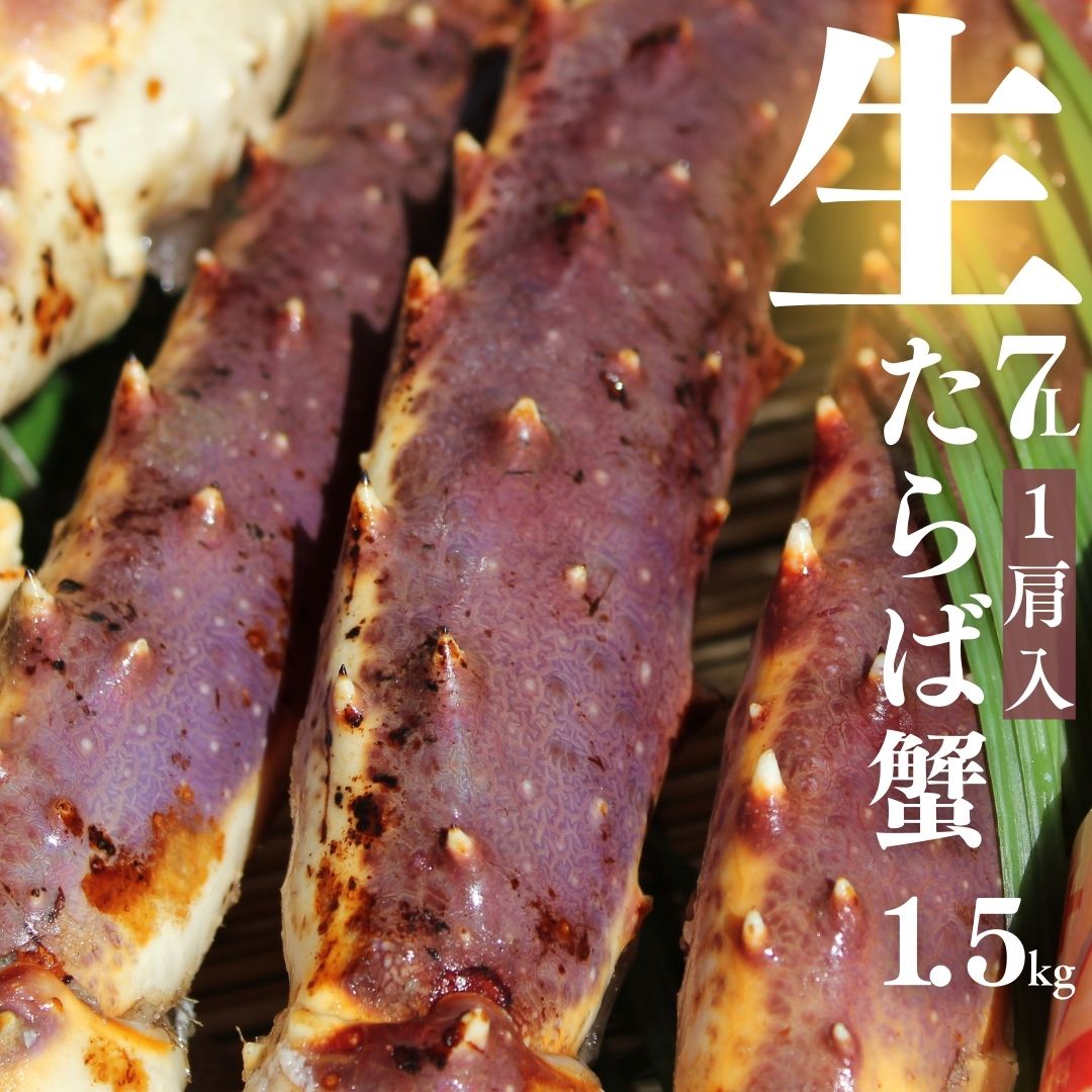 超特大生たらば蟹 1.5ｋｇ×1肩 ７L　シュリンク   たっぷり３～５人前 ＜たらば蟹/生タラバ蟹/生タラバガニ/生たらばがに/お歳暮/お中元/かに/カニ/蟹/鍋/贈答用/バーベキュー/お祝い/パーティー/お正月/クリスマス/サラダ/しゃぶしゃぶ/楽天蟹＞