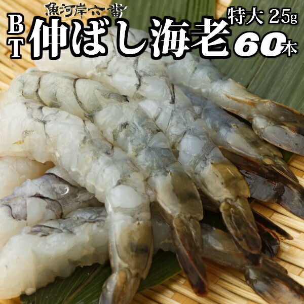 楽天市場】【当店直輸入！】超超特大！天然有頭シータイガー えび 1.5kg 20尾サイズ 特大 ブラックタイガー 殻付き 海老 巨大 エビ 頭 大きい  種類 高級 美味しい 冷凍エビ 冷凍えび 有頭エビ えび冷凍 から付きエビ スリランカ 超超特大エビフライ バーベキュー 送料無料 