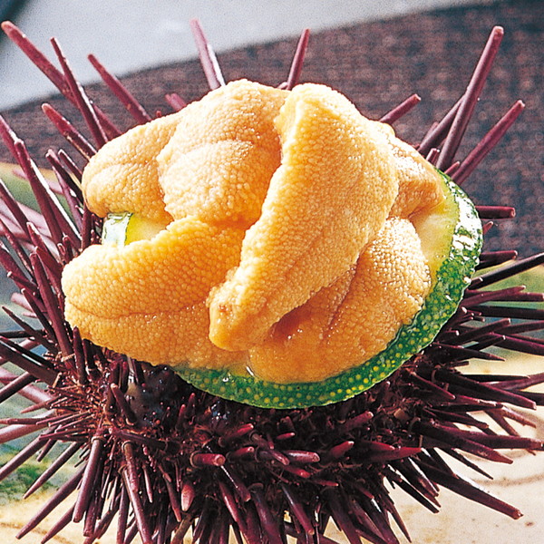 【産直・送料込】天草　桜うに（殻出し生うに）２本組【代引・熨斗・包装不可】<BR><BR>贈り物　プレゼント　お祝い　お返し　出産　結婚　ギフト　お礼　ご挨拶　手土産　内祝