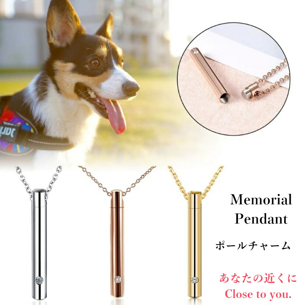 選べるペアセット 送料無料 遺骨ペンダント sale ポール型 遺骨ネックレス ペット おしゃれ 完全防水 3色 手元供養 遺骨ネックレス ステンレス 遺骨 遺髪 遺灰 遺毛 ペットロス プレゼント 金属アレルギー対応 シンプル 遺骨カプセル ネックレス 防錆 ペット供養
