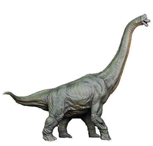 SanDoll恐竜 フィギュア リアル 模型 ジュラ紀 40cm級 爬虫類 迫力 肉食 子供玩具 プレゼント ディスプレイ 安心保障付き (プラキオサウルス)