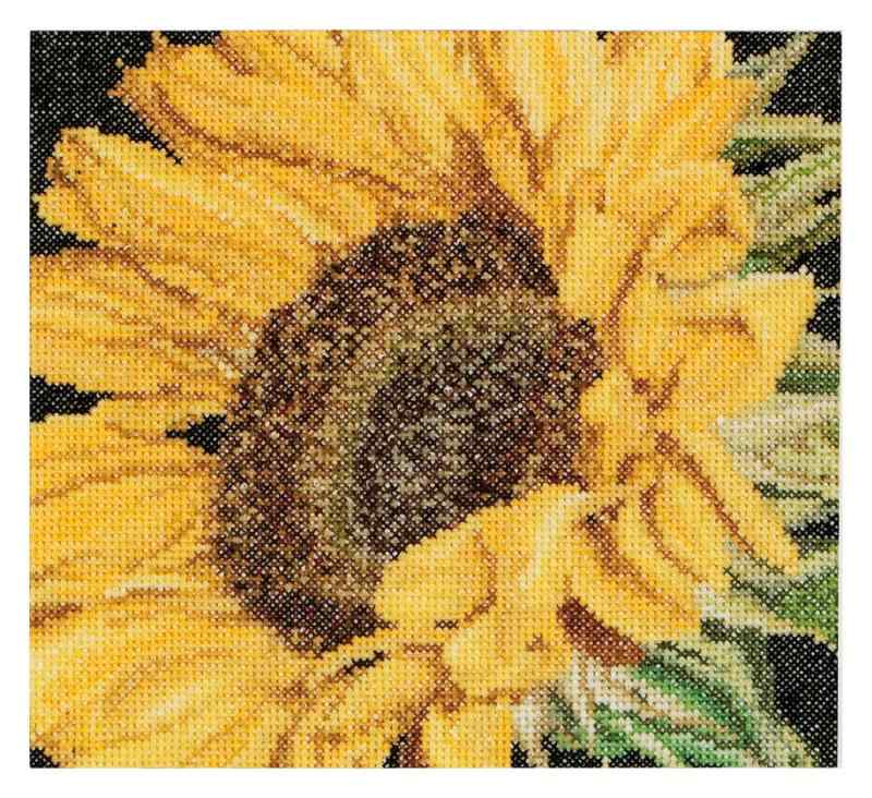テア・グーベルヌール クロス・ステッチｷｯﾄ Sunflower 白のｱｲｰﾀﾞ18カウント 大人向け ４88A