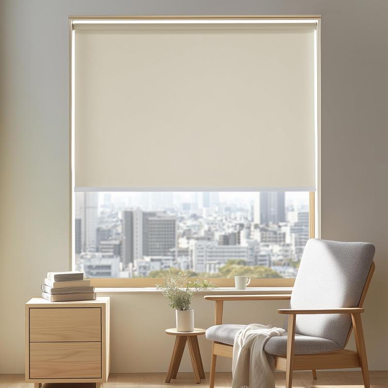 ロールスクリーン ロールカーテン チェーン式 幅100cm 丈220cm ベージュ 1級遮光 断熱 遮熱 防音 防寒 UVカット 表裏同色