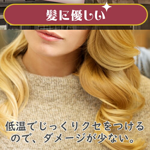 アイビル ホットカーラー Ah 12 Hot Curler 巻き髪 お髪セット トリコ ヘアカーラー 6vol 立12カーラー仕合せ 専用陳列棚御供 Cannes Encheres Com