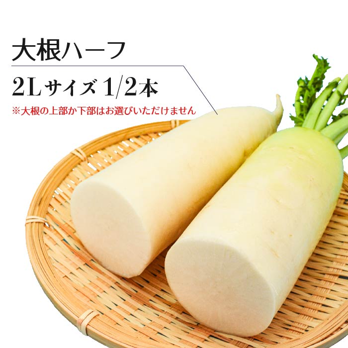 市場 送料無料 100g 30袋 箱売 小ネギ こねぎ 小ねぎ 静岡県産他 1箱 小葱