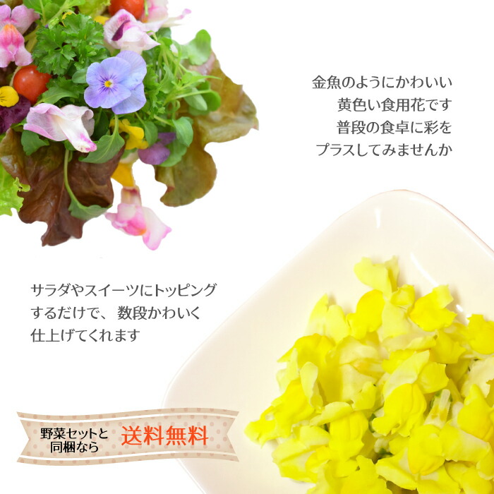 愛知県 産 誕生日 食用花 金魚草 スイーツ 飾り 0g 花 入れ物含む きんぎょ 料理