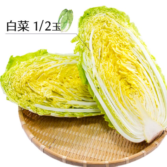 国産 白菜6玉 15kg