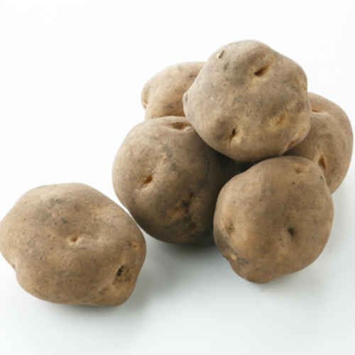 楽天市場 じゃがいも バラ売り 北海道 産 他 雪室 仕込み じゃが芋 Lm 2l 1 5kg 1袋 じゃがいも ジャガイモ ポテト オニオン 常備野菜 上越フルーツ 上越フルーツ 楽天市場店