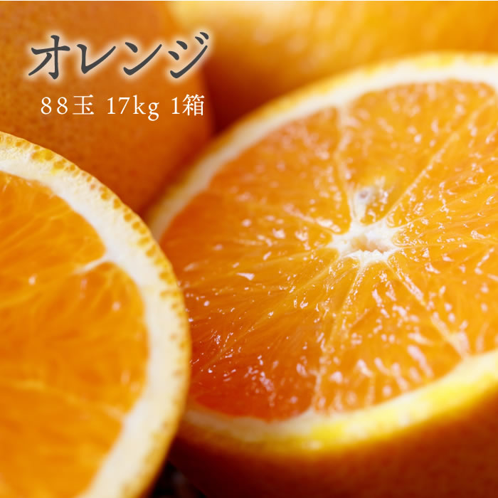 【本州送料無料 箱売 消費税込】アメリカ産他 オレンジ 88玉 約 17ｋｇ  1箱 （業務用 おれんじ）上越フルーツ