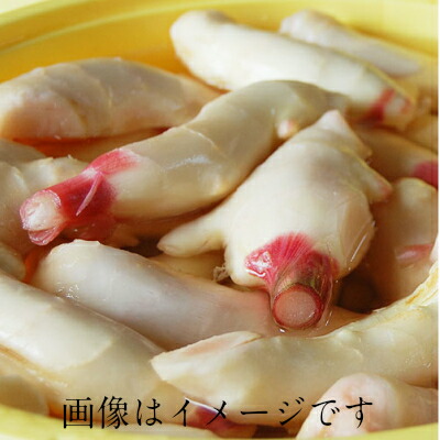 【本州送料無料 税込】高知県産他 新生姜 4kg（しんしょうが シンショウガ しょうが 生姜）上越フルーツ