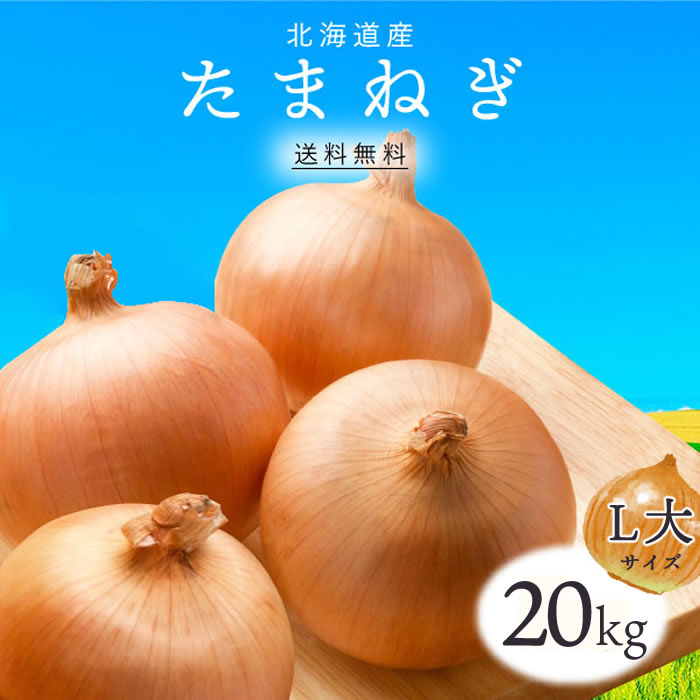 【箱 送料無料用】北海道産 玉ねぎ L 大 20kg | 玉葱 タマネギ たまねぎ 業務用 箱売 新鮮野菜 野菜 上越フルーツ