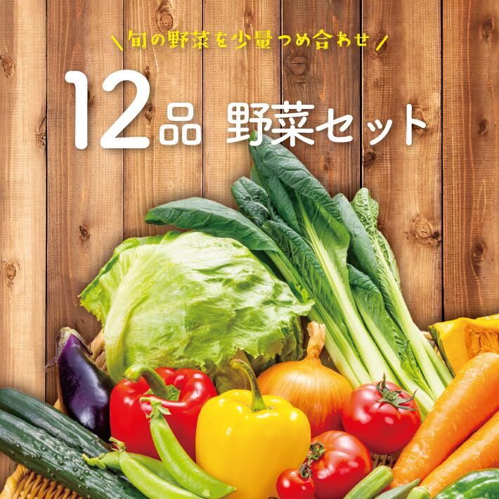 楽天市場】【 あす配 本州送料無料!】なかみが分かる 定番 野菜セット