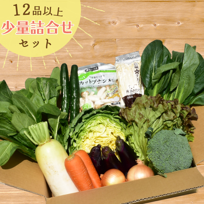 楽天市場】【あす楽】なかみが分かる 定番 野菜セット 12品 野菜