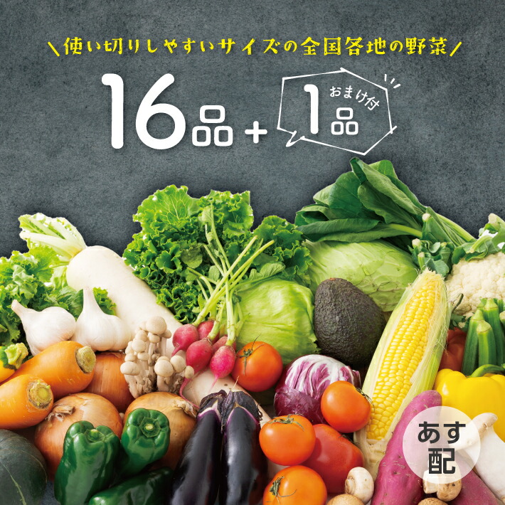 【楽天市場】【送料無料】16品 野菜セット 野菜詰め合わせ ☆ 選べるおまけ付 ☆ 野菜 野菜詰合せ 詰め合わせ 通販 旬 お取り寄せ  お取り寄せグルメ 贈り物 食品 仕送り 上越フルーツ : 上越フルーツ 楽天市場店