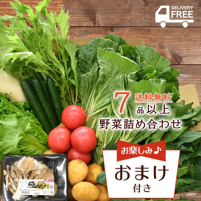 楽天市場 送料無料 7品以上 野菜 詰め合わせ セット 野菜詰合せ 詰め合わせ 野菜セット 新潟 旬 上越フルーツ 上越フルーツ 楽天市場店